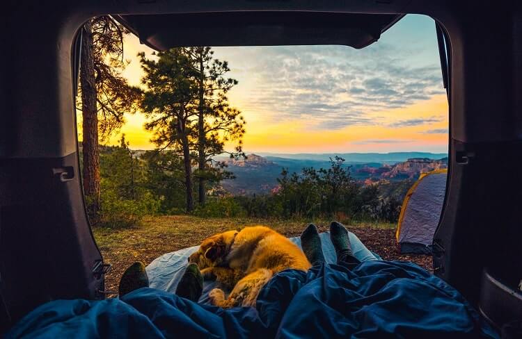 22 Creative DIY Car Camping Hacks and Ideas You Need